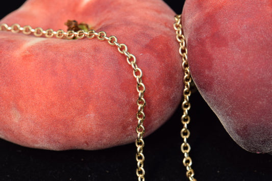 14k Solid Rolo Chain, 22in